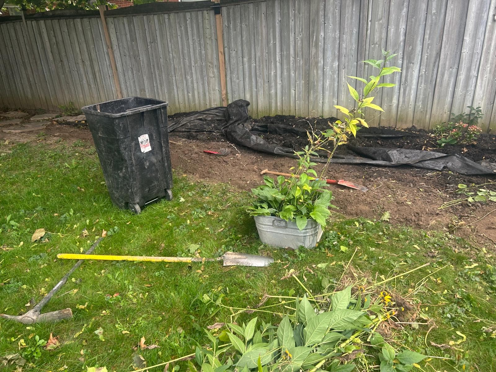 Backyard Garden Bed Clean-Out & Replanting Project – Etobicoke 3