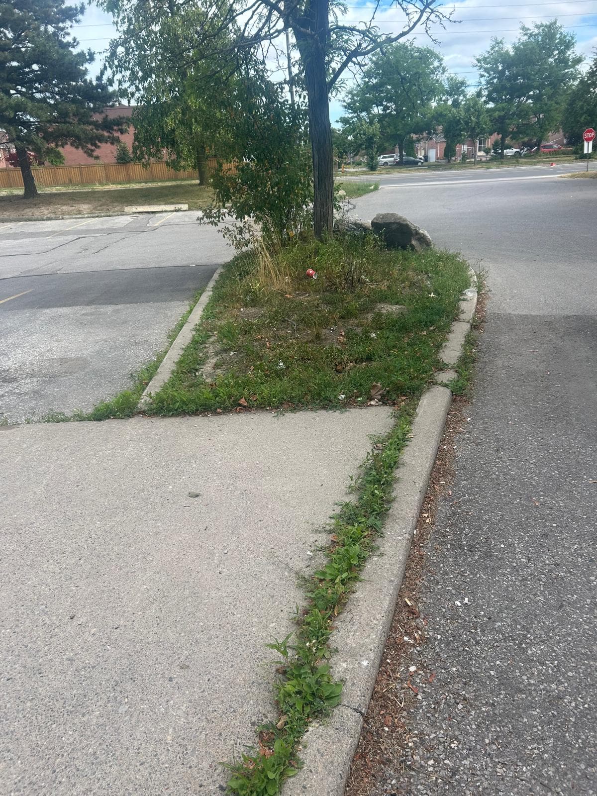 Fenton Project before