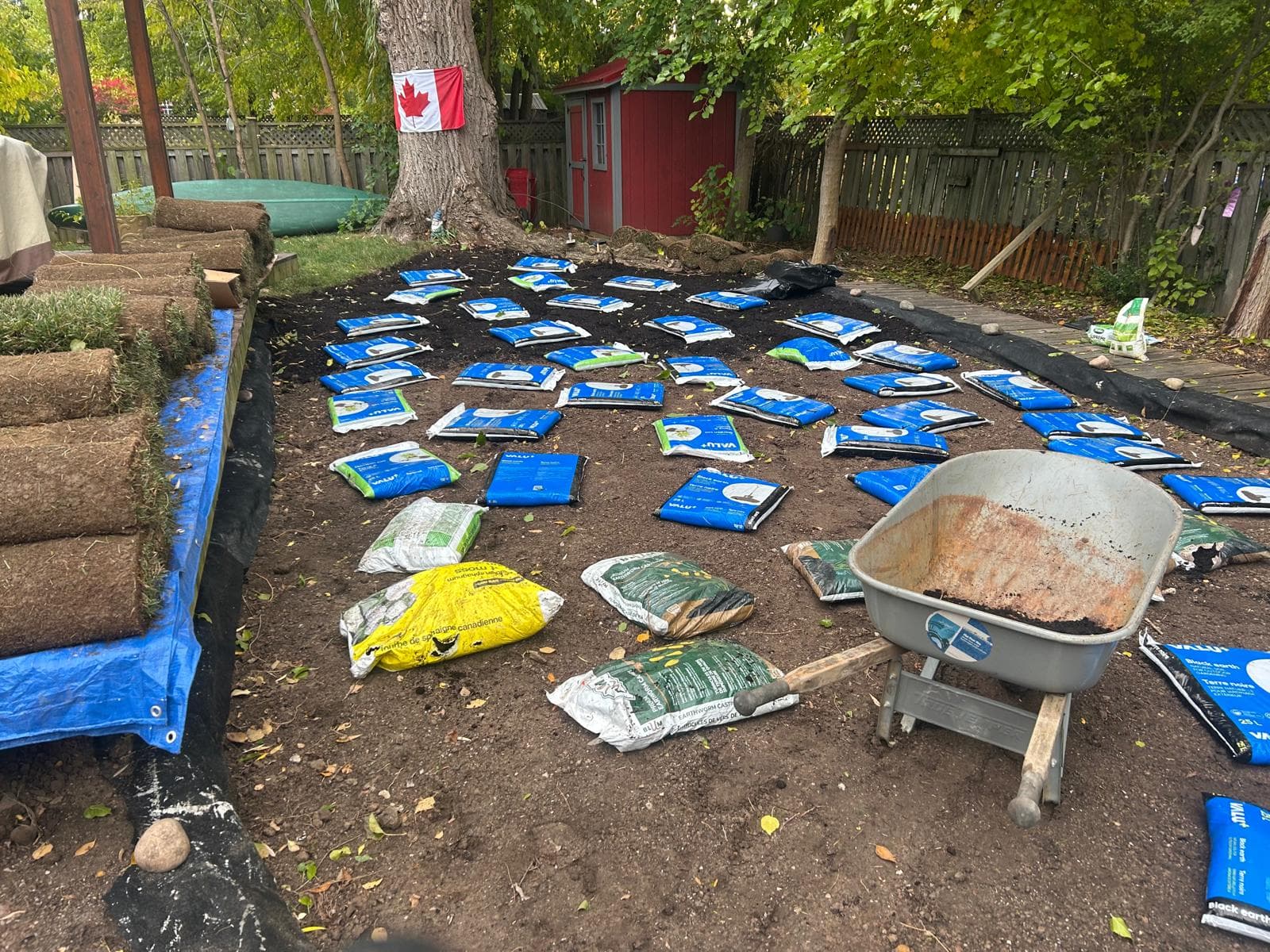 Above Ground Pool Removal and Installation of New Sod Platform – Mississauga
