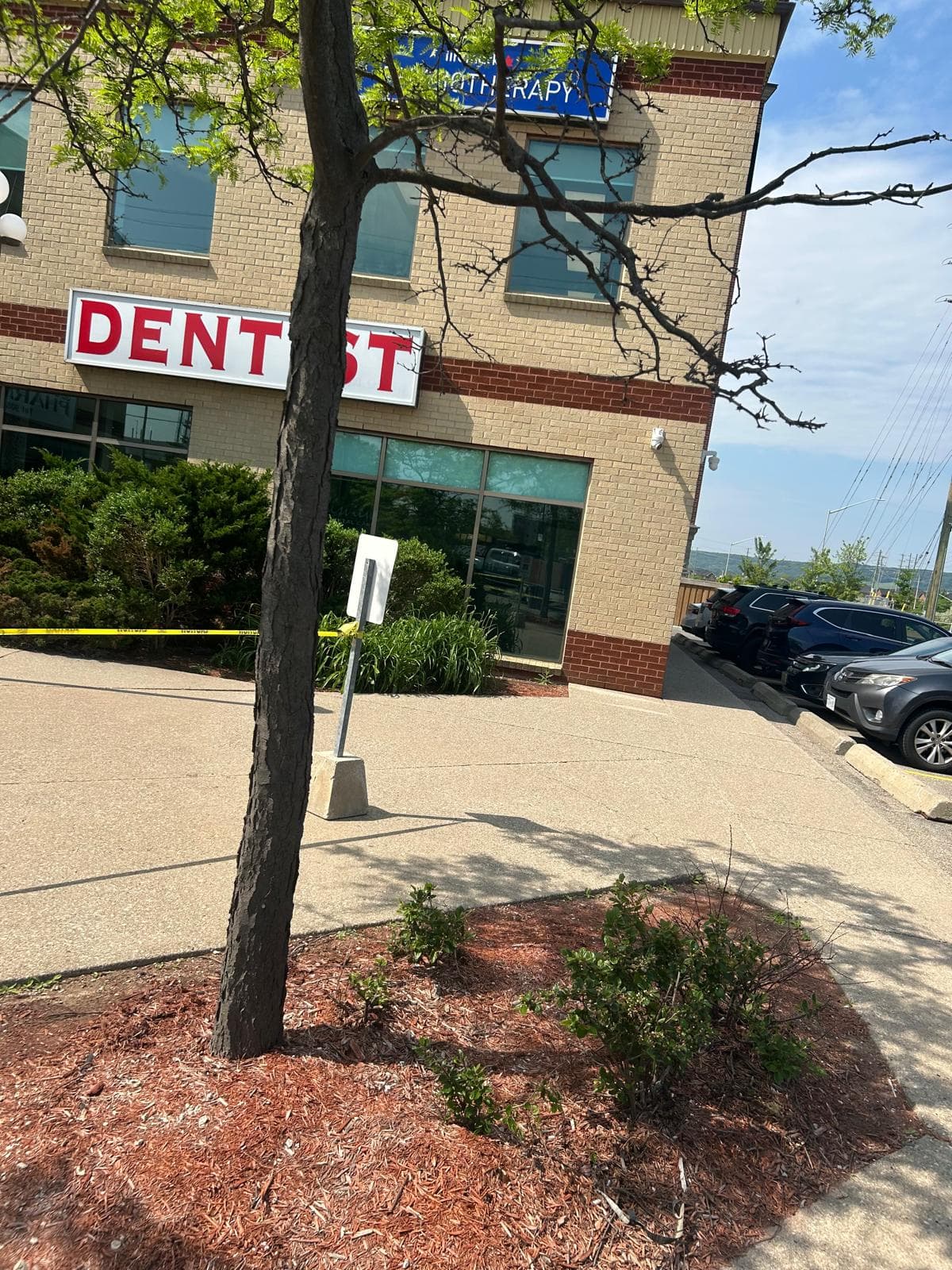 Garden Bed Restoration before